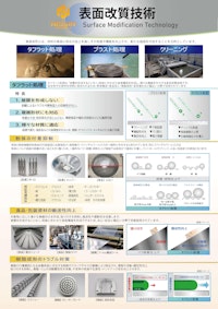 表面改質技術 【日信テクニクス株式会社のカタログ】