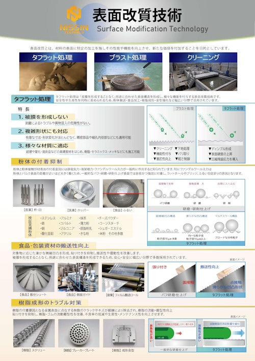 表面改質技術 (日信テクニクス株式会社) のカタログ