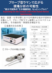 Probe Raman 最新版カタログ 【株式会社テックアナリシスのカタログ】