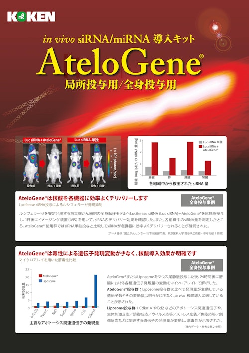 AteloGene（2024） (株式会社高研) のカタログ