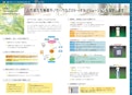 会社案内-Catalysのカタログ