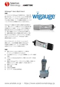 寸法計測器　シングルチャンネルワイヤレスハンディゲージ　WiGauge(ワイゲージ)-solartron metrologyのカタログ