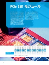 PCIe SSDのカタログ