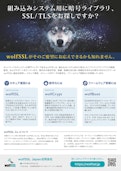 組み込みシステム用に暗号ライブラリ、SSL/TLSをお探しですか？-アイティアクセス株式会社のカタログ