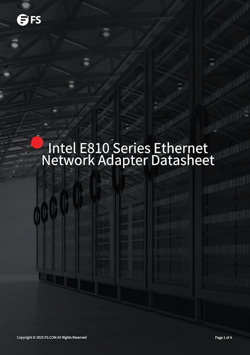 FS Intel E810シリーズベースのイーサネットネットワークインターフェイスカード (FS JAPAN株式会社) のカタログ無料 ...