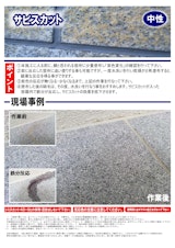 石材用錆び抜き洗浄剤　サビスカットのカタログ