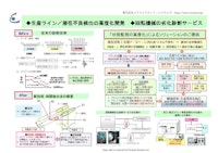 総合ソリューションパンフレット 【株式会社エクストラネット・システムズのカタログ】