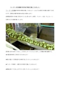 お菓子用フィーダー式計量機　抹茶金平糖を自動計量-Shoraku Sangyoのカタログ