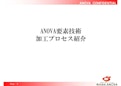 ANOVA要素技術加工プロセス紹介-ANOVAのカタログ